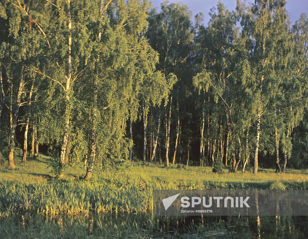 Moscow Region