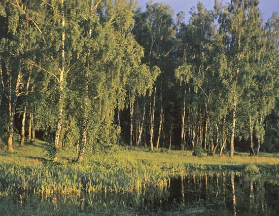 Moscow Region