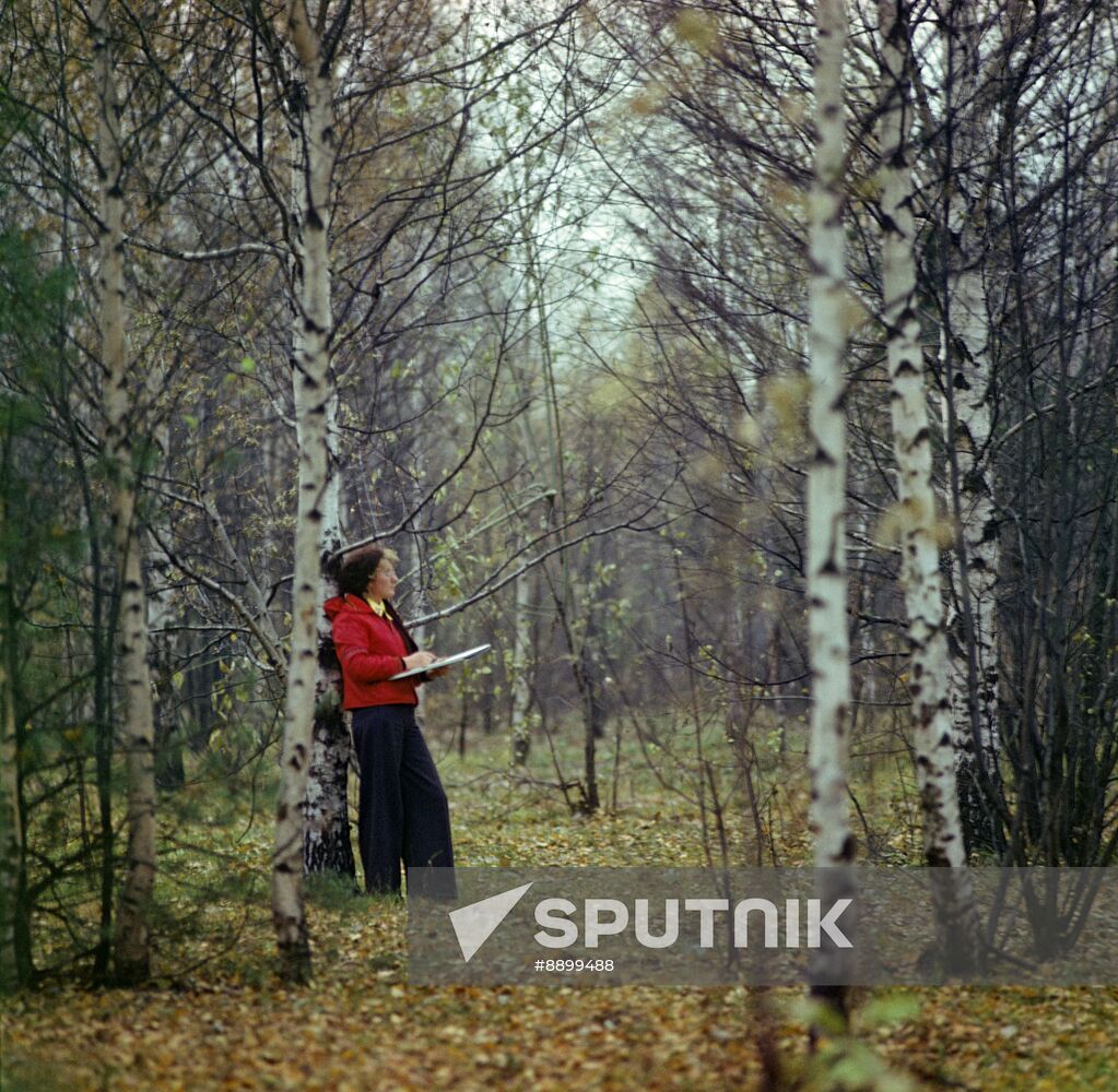 Sketching in Moscow Region forest