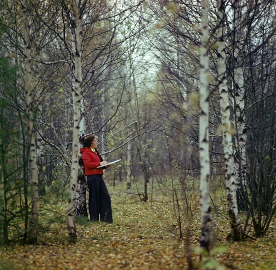 Sketching in Moscow Region forest