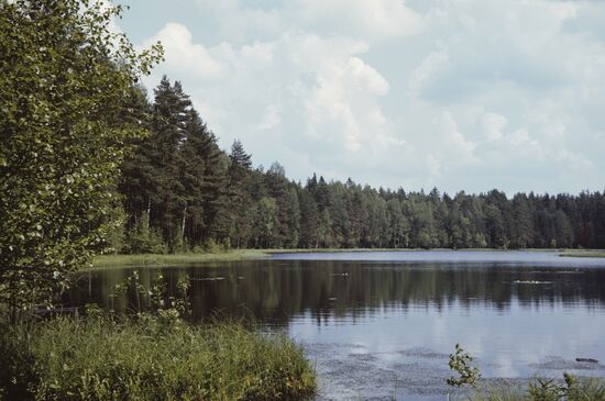 Moscow Region nature