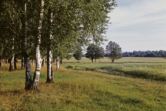 Nature in Moscow Region