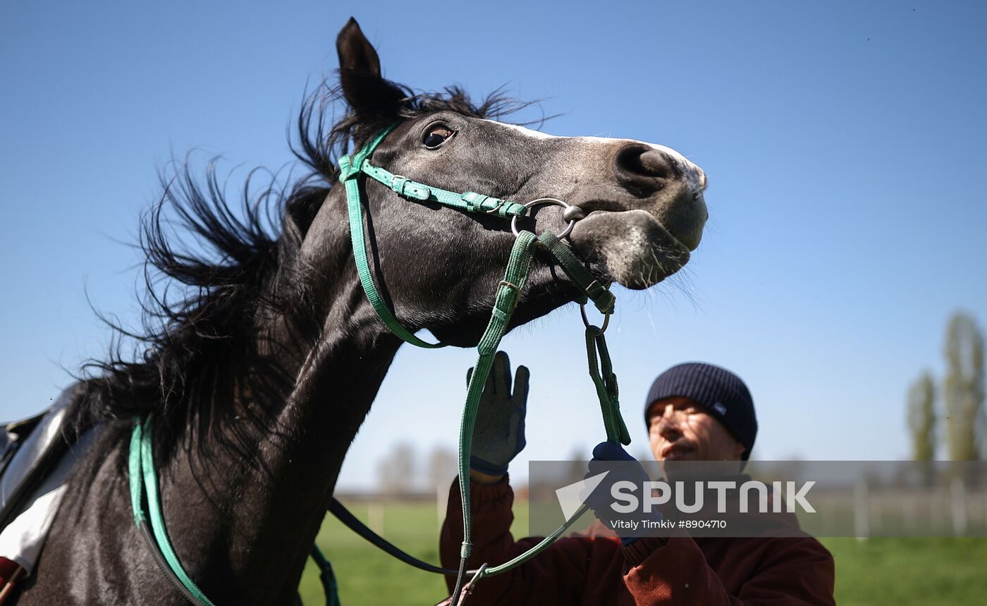 Russia Equestrian Sports Season Preparations