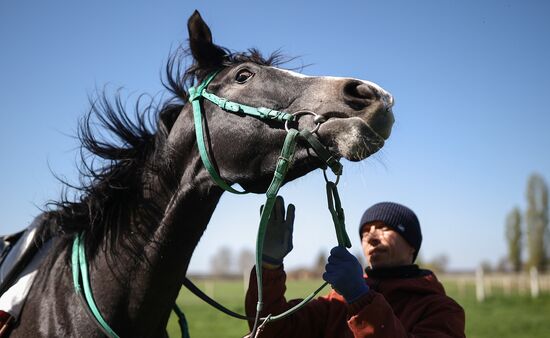 Russia Equestrian Sports Season Preparations