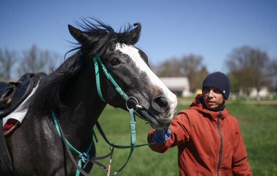 Russia Equestrian Sports Season Preparations