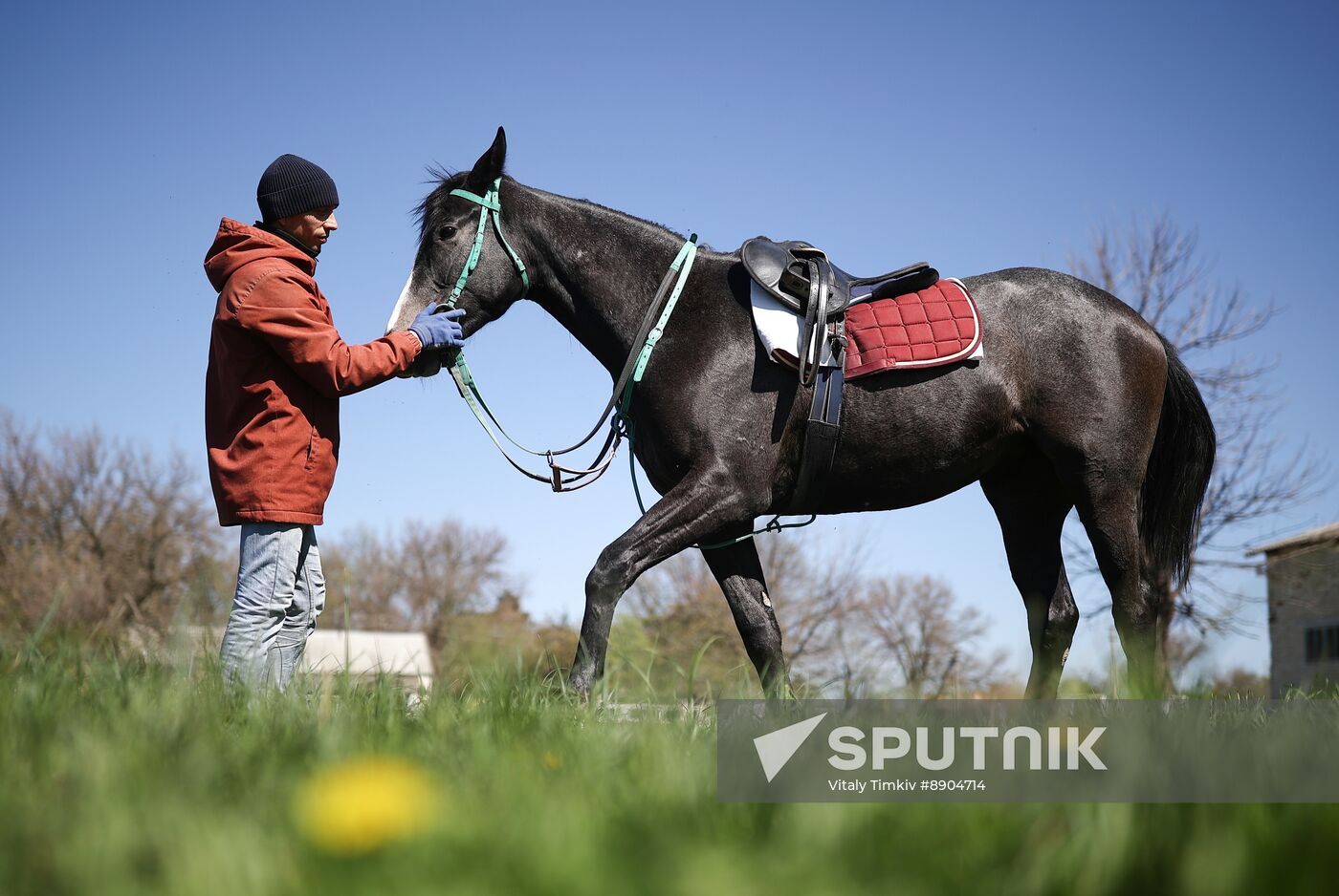 Russia Equestrian Sports Season Preparations