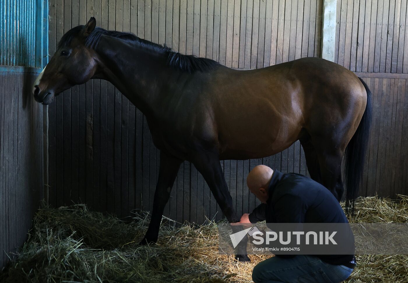 Russia Equestrian Sports Season Preparations
