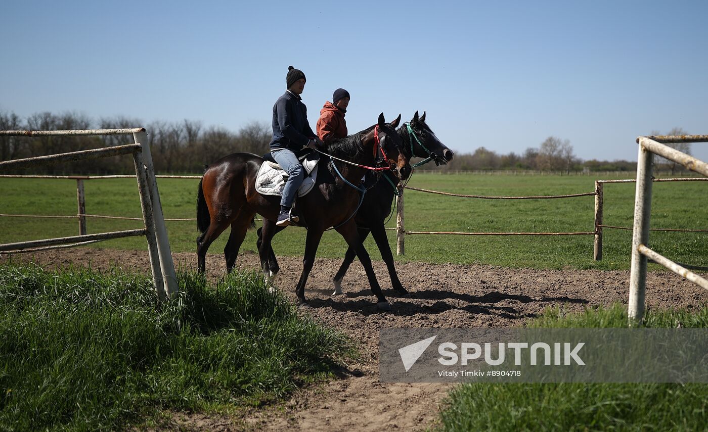 Russia Equestrian Sports Season Preparations