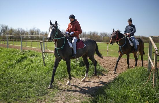 Russia Equestrian Sports Season Preparations
