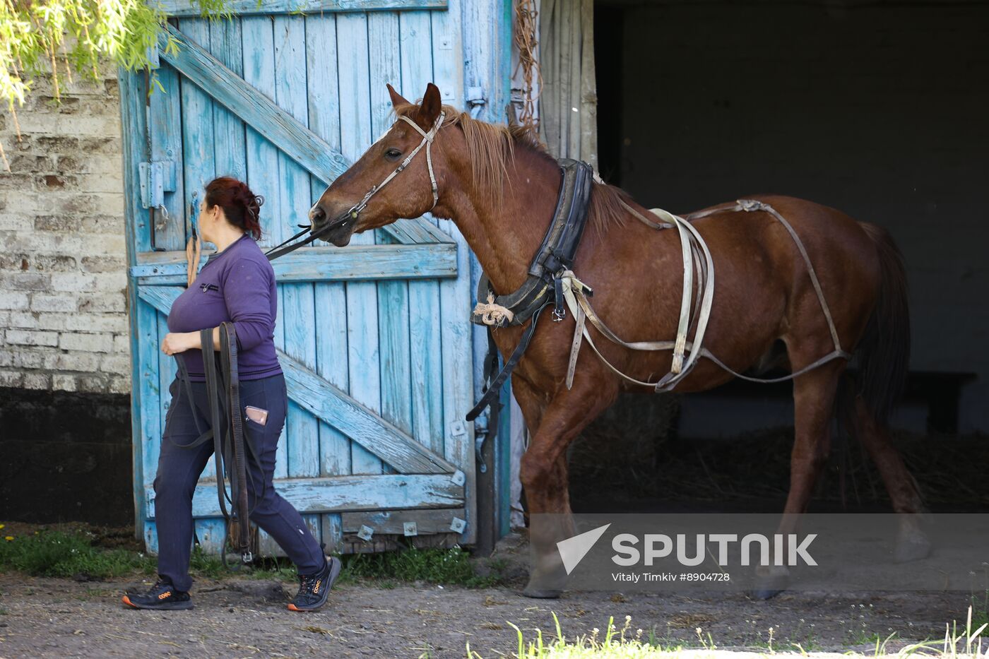 Russia Equestrian Sports Season Preparations