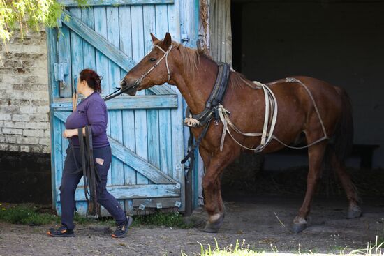 Russia Equestrian Sports Season Preparations