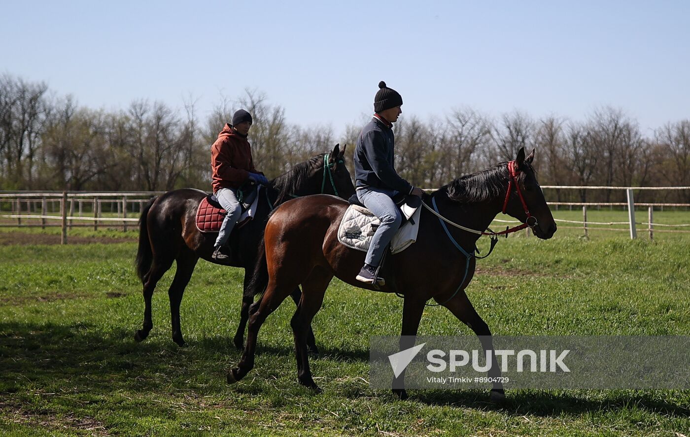 Russia Equestrian Sports Season Preparations