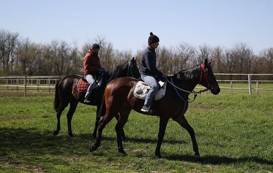 Russia Equestrian Sports Season Preparations
