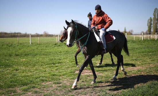 Russia Equestrian Sports Season Preparations