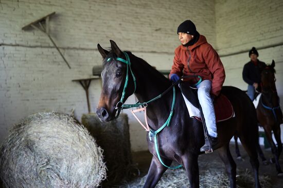 Russia Equestrian Sports Season Preparations
