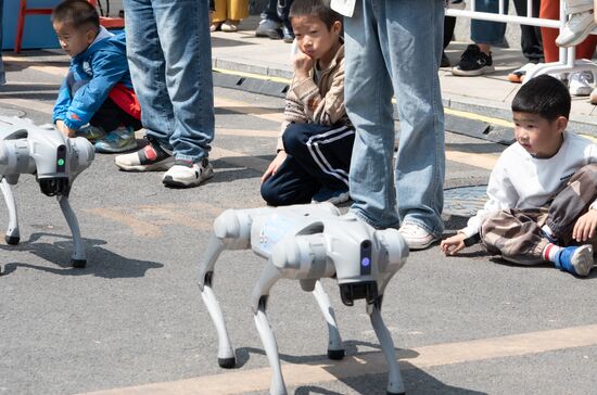 China Humanoid Robot Half Marathon