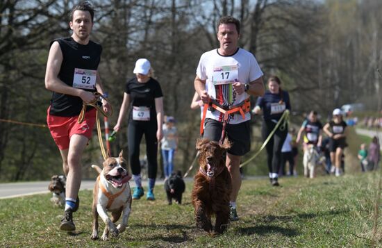 Russia Dog Run