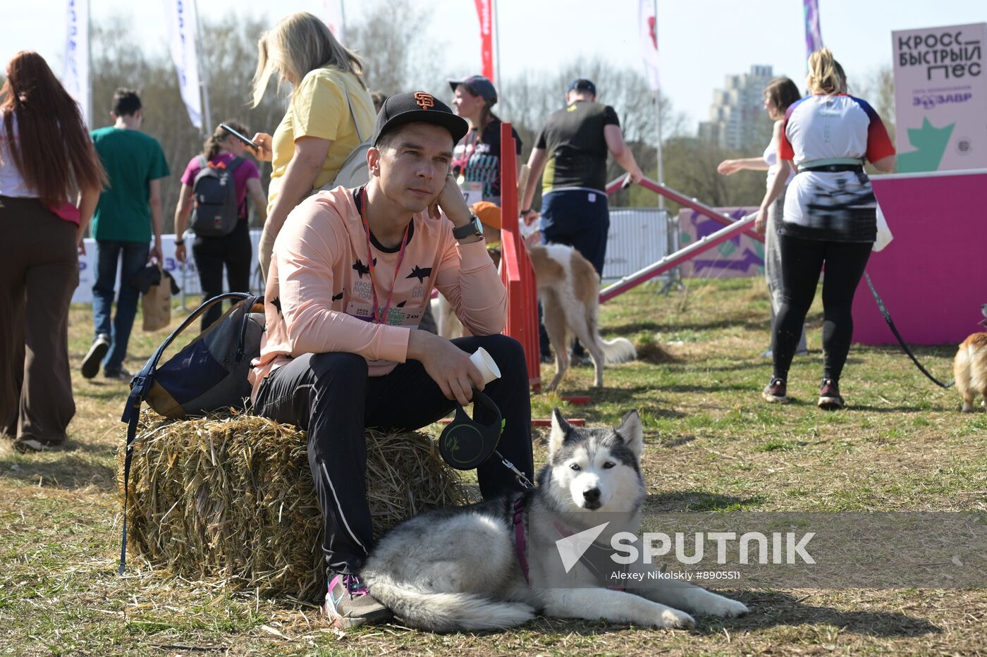 Russia Dog Run