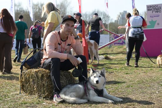 Russia Dog Run