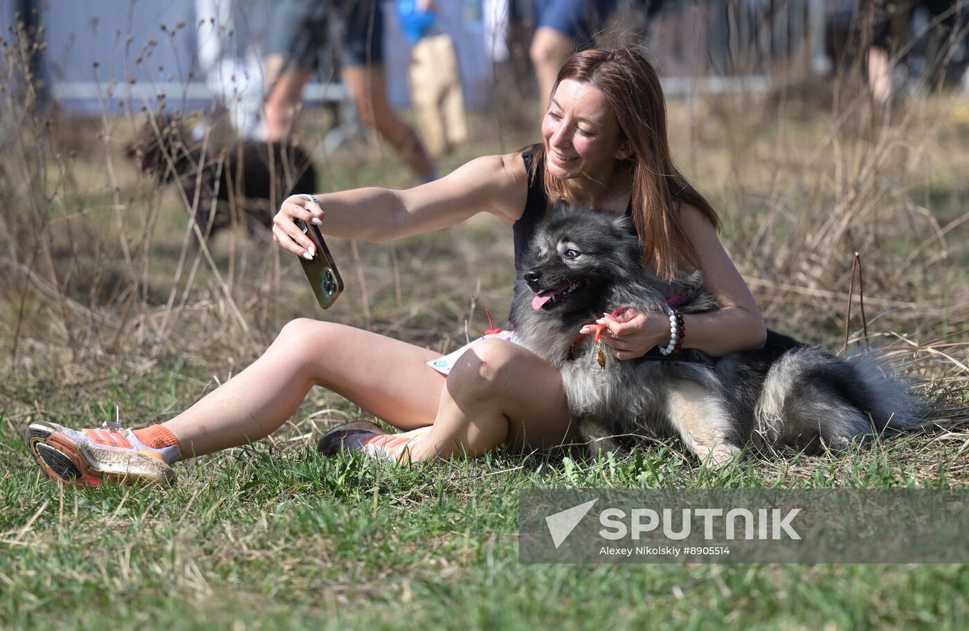 Russia Dog Run