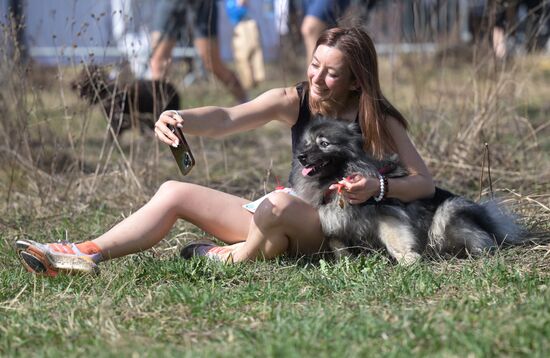 Russia Dog Run