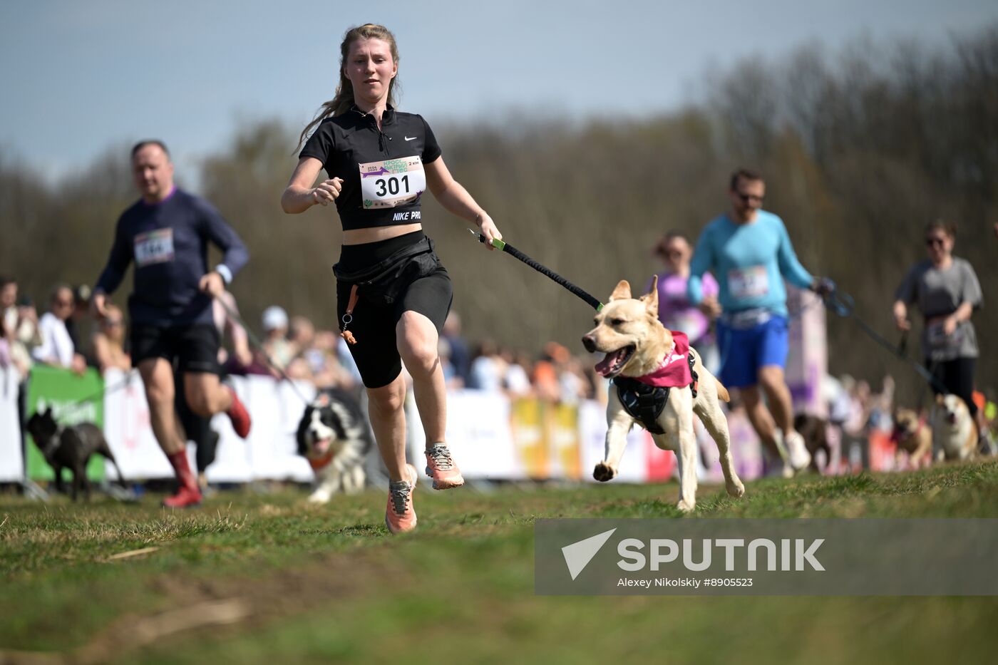 Russia Dog Run