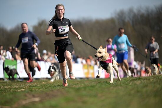 Russia Dog Run