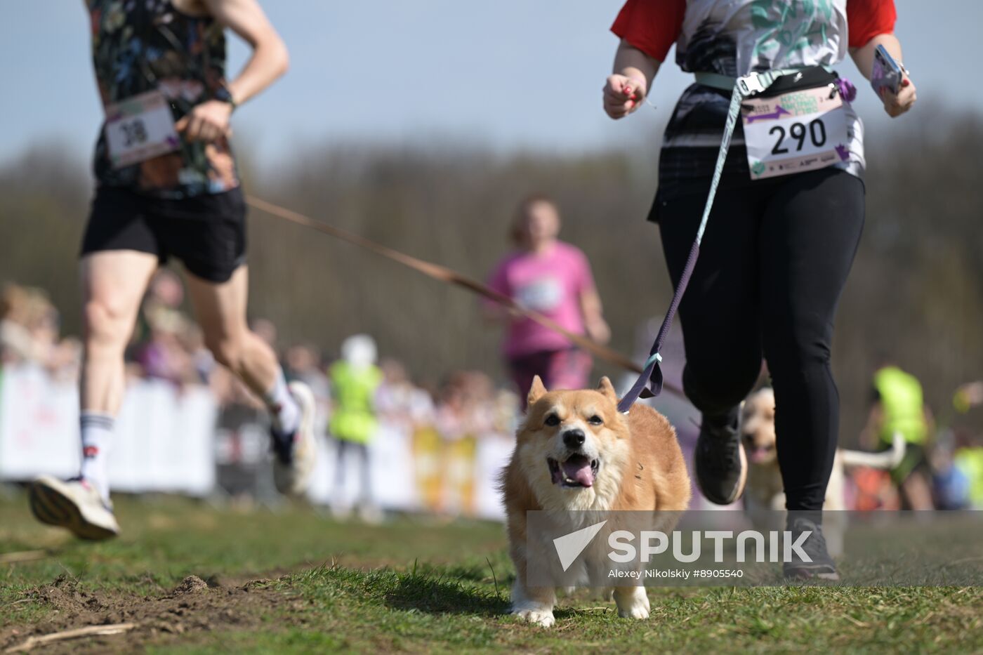 Russia Dog Run