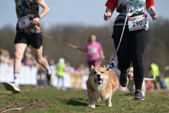 Russia Dog Run