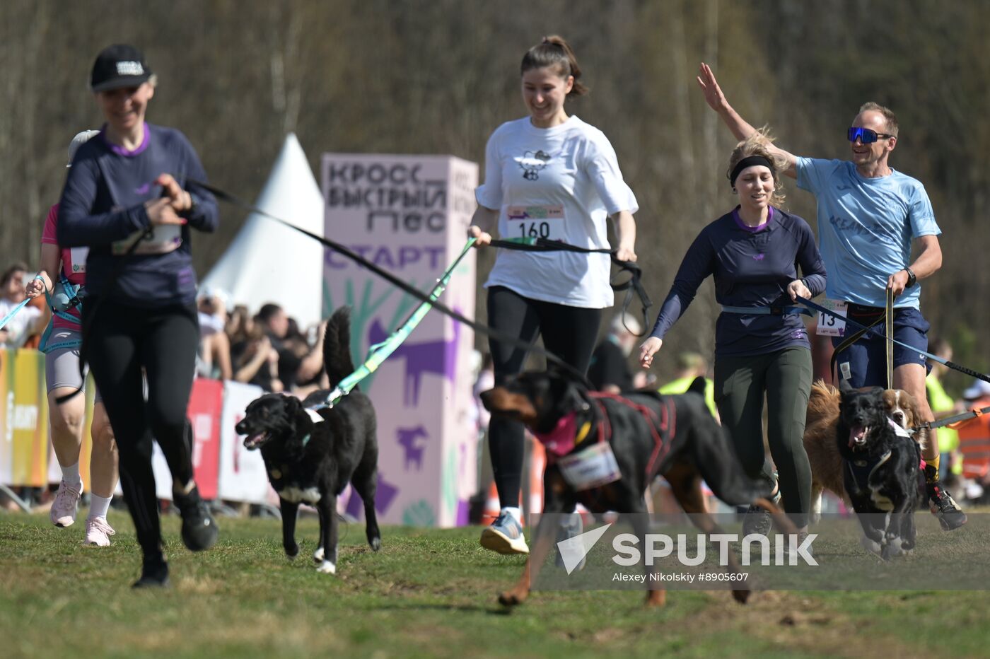 Russia Dog Run