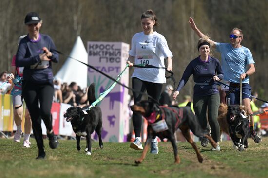 Russia Dog Run