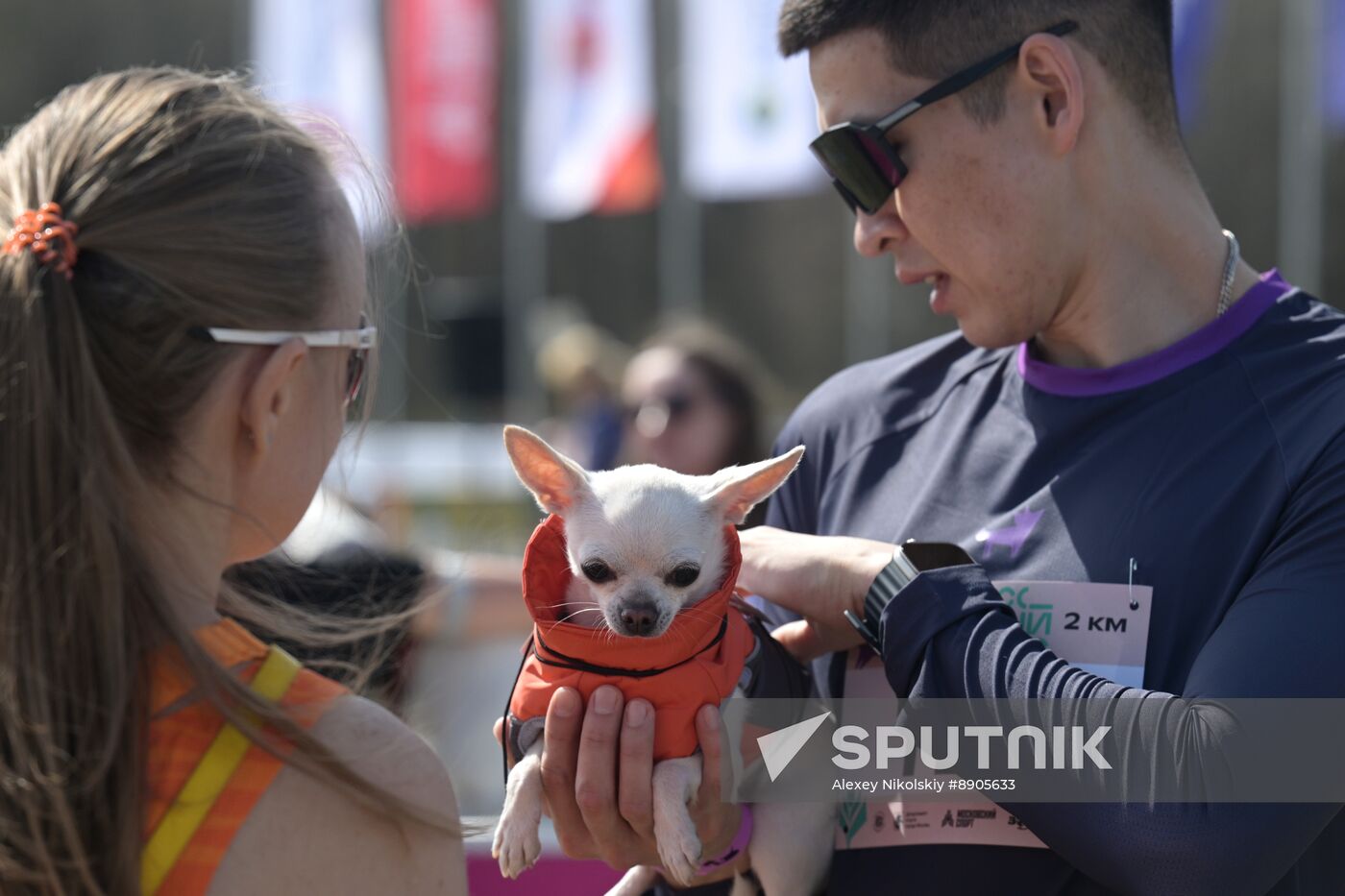 Russia Dog Run
