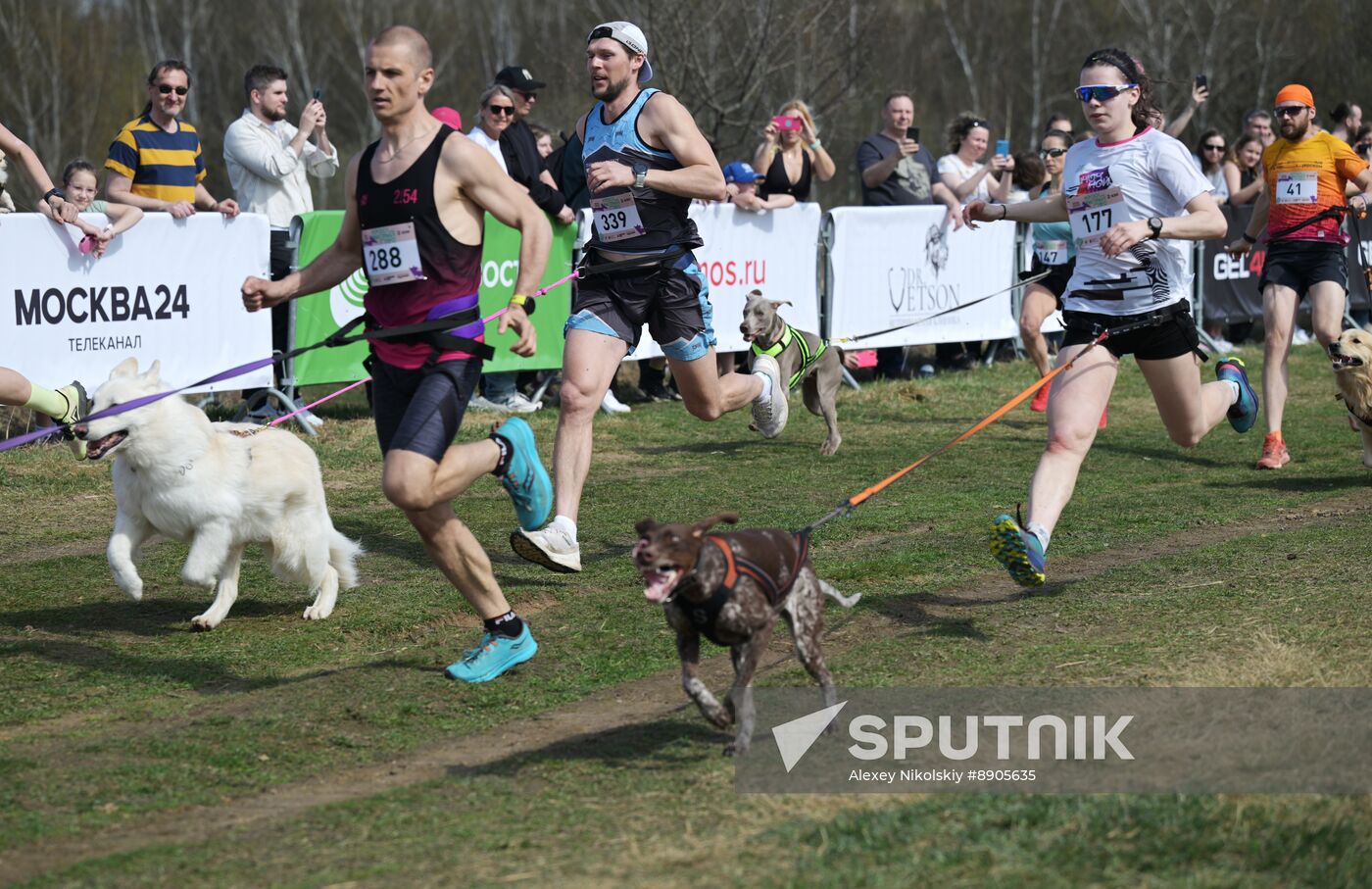 Russia Dog Run