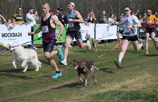 Russia Dog Run