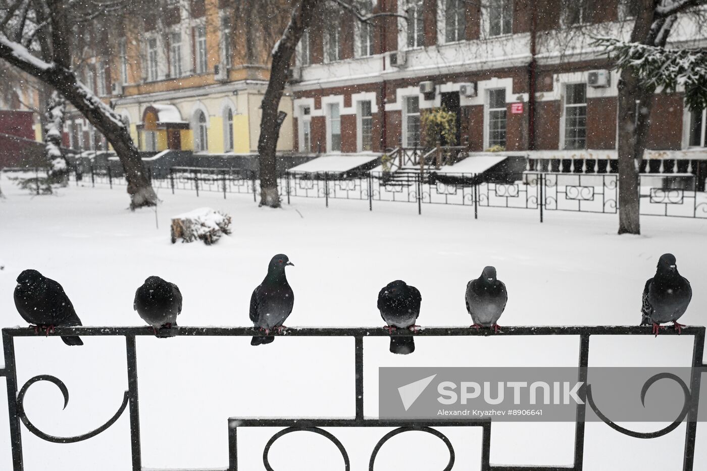 Russia Weather