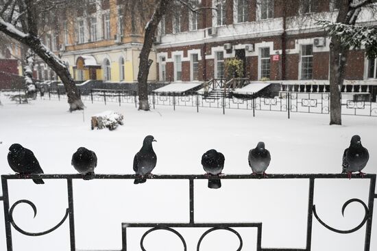 Russia Weather