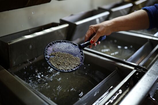 Russia Fish Industry