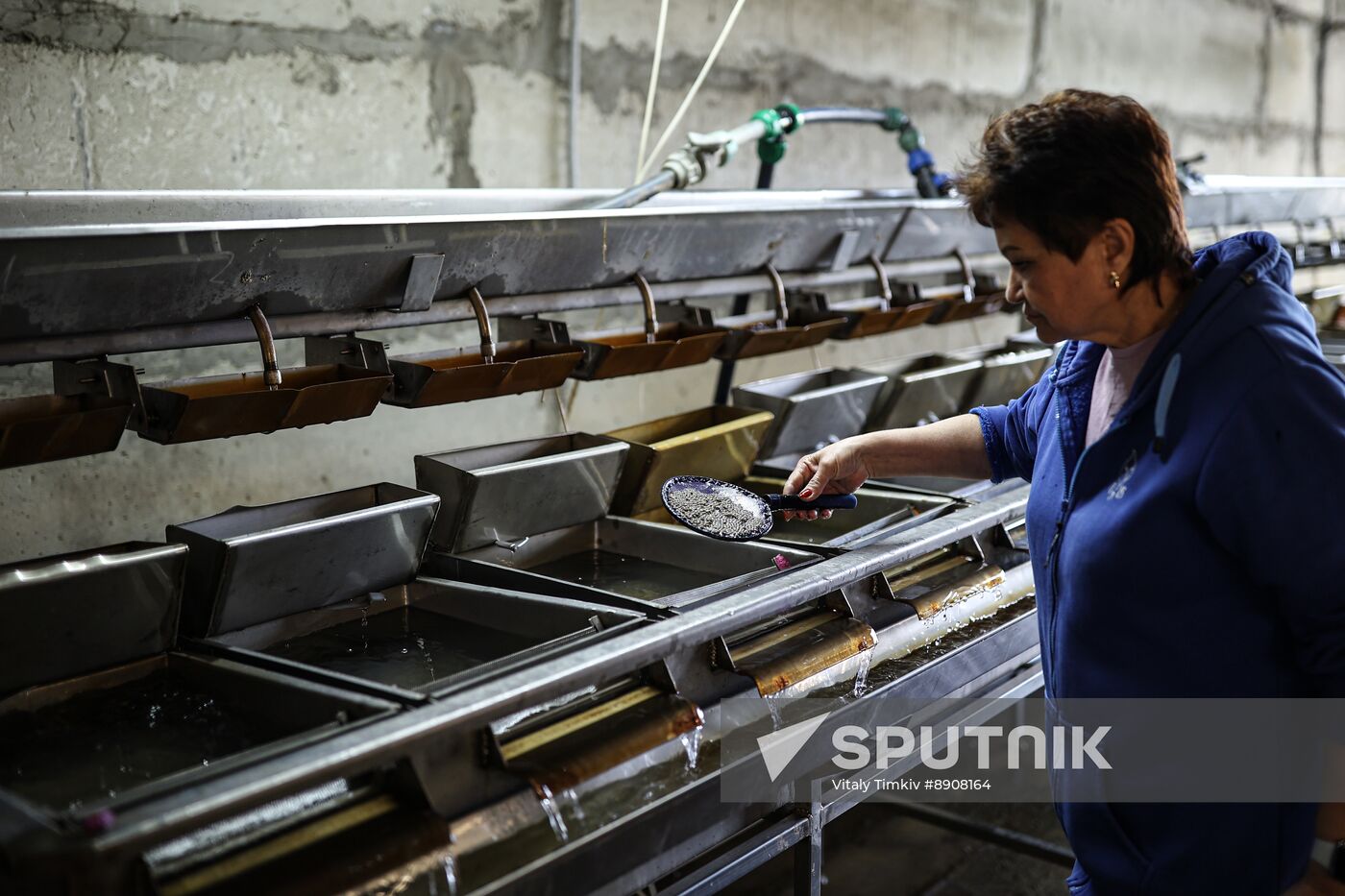 Russia Fish Industry