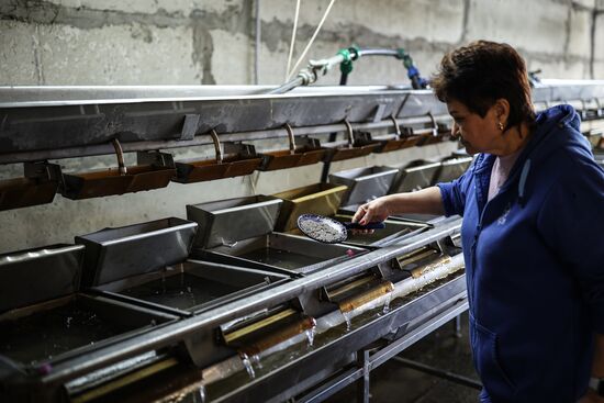Russia Fish Industry