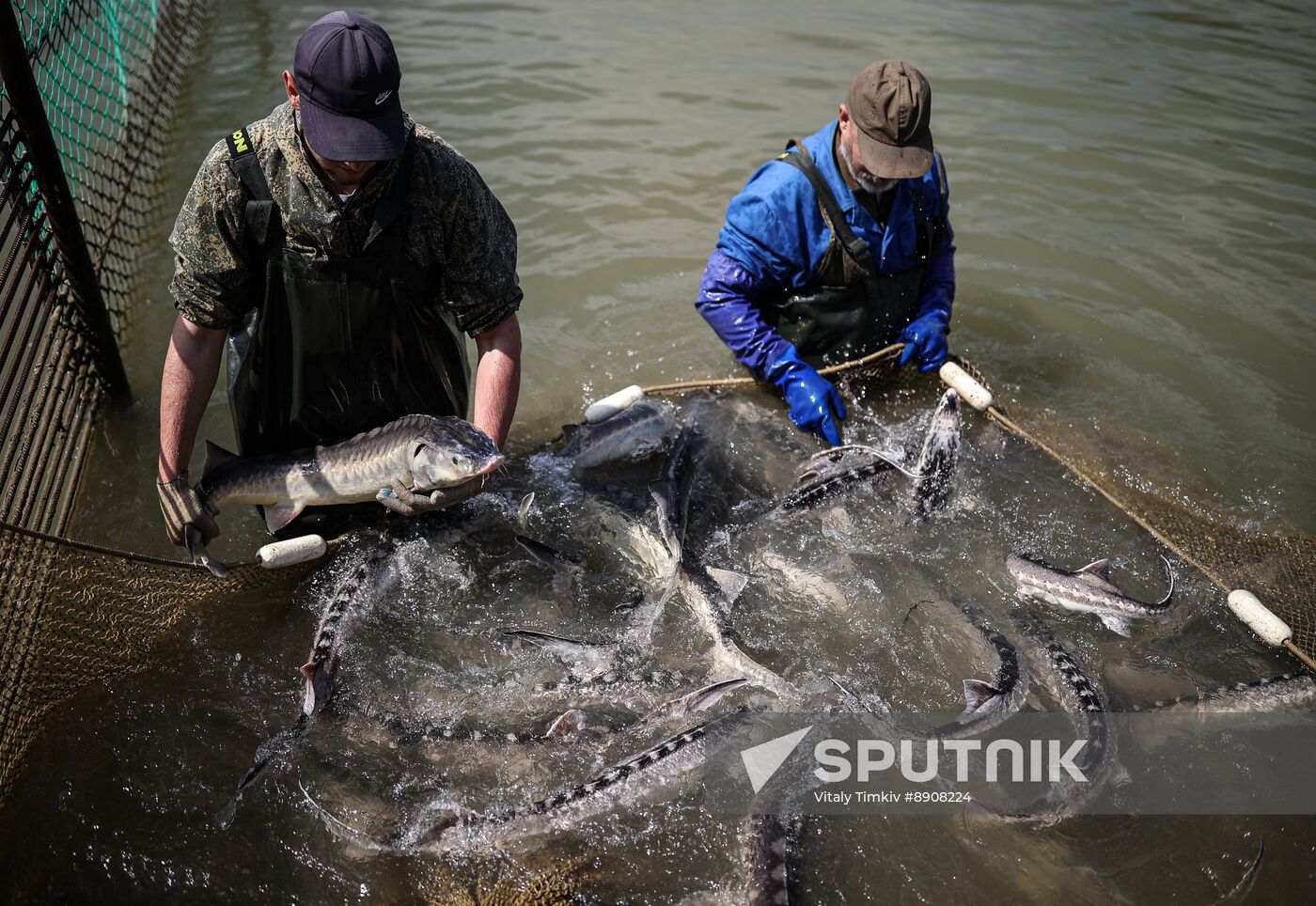 Russia Fish Industry