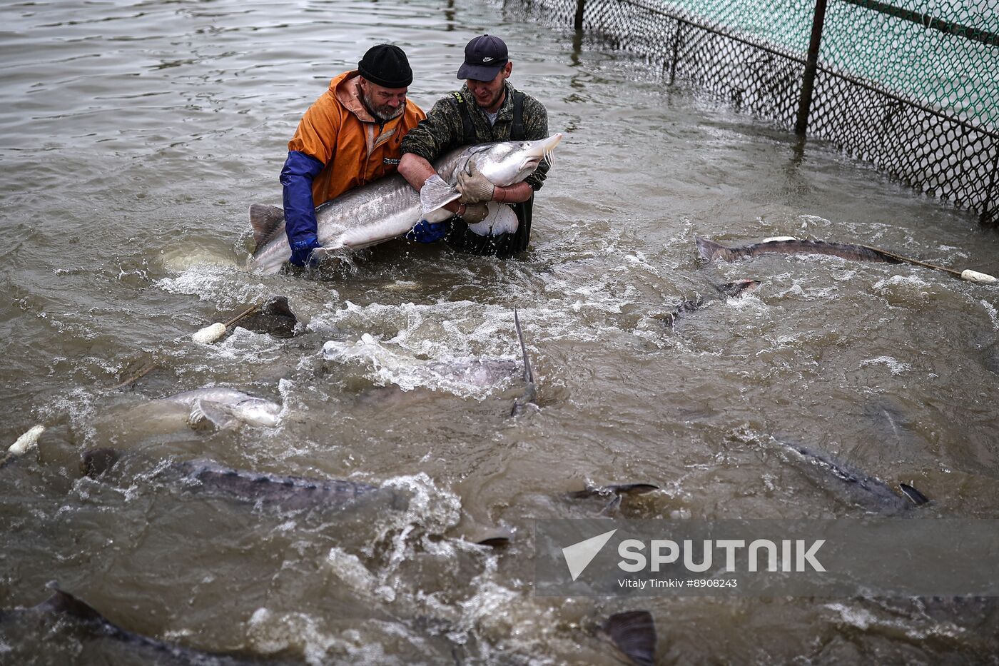 Russia Fish Industry