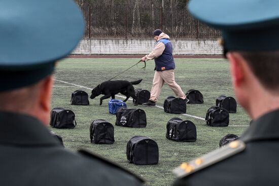Russia Customs Dog Handlers Competition