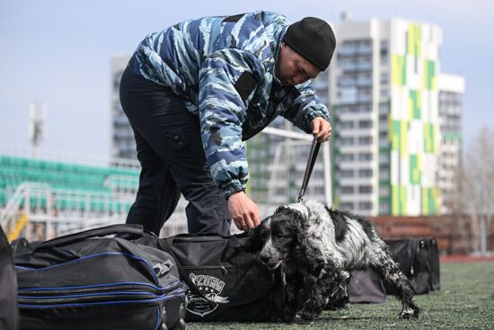 Russia Customs Dog Handlers Competition