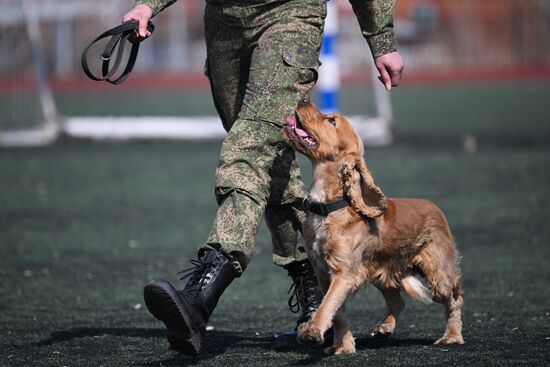 Russia Customs Dog Handlers Competition