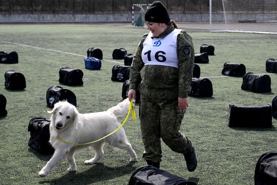 Russia Customs Dog Handlers Competition