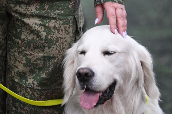 Russia Customs Dog Handlers Competition