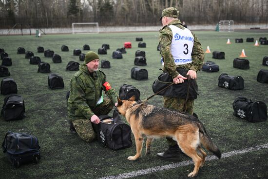Russia Customs Dog Handlers Competition