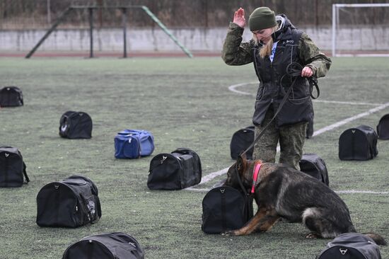 Russia Customs Dog Handlers Competition
