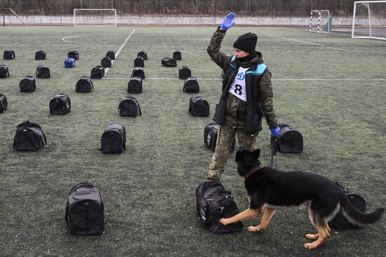 Russia Customs Dog Handlers Competition