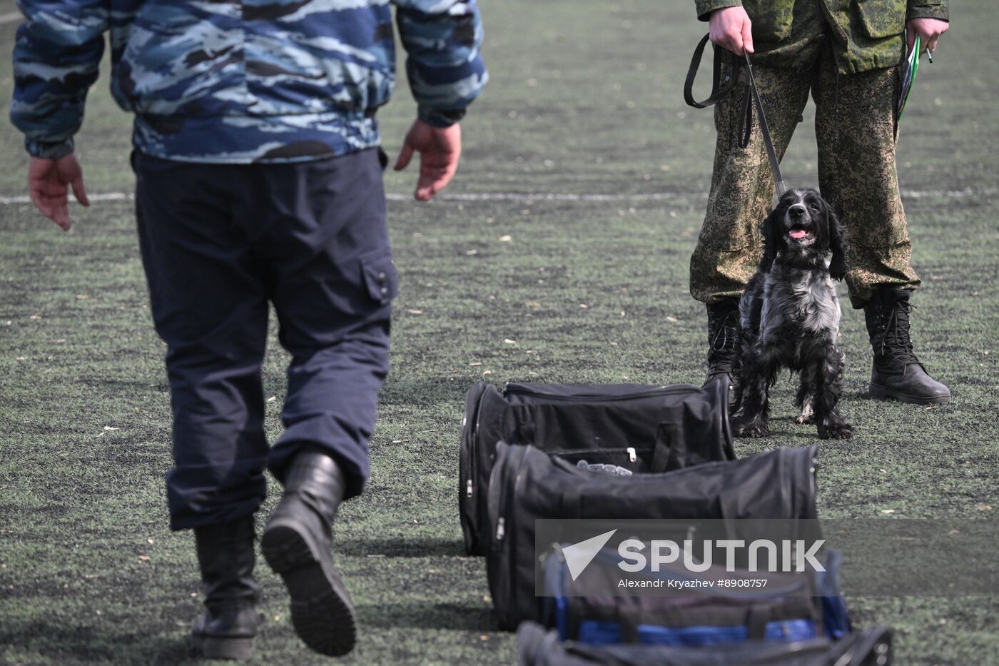 Russia Customs Dog Handlers Competition